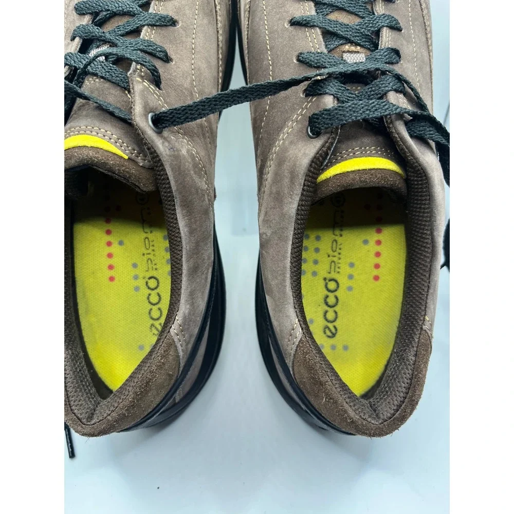 Ecco discover unparalleled